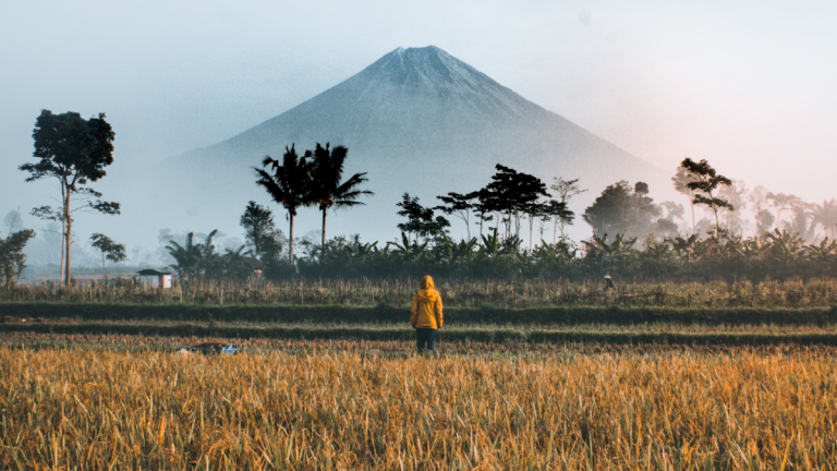 hak asasi lingkungan dan hewan