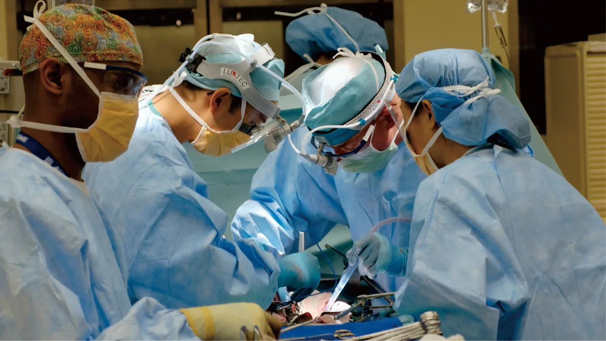 dokter