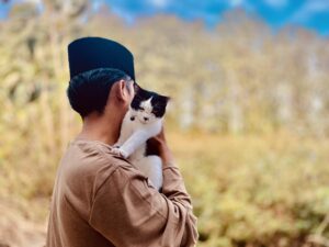 Kucing