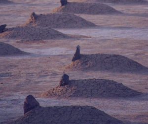 batu nisan sebagai penanda kuburan
