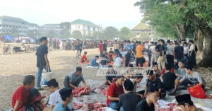 Pelaksanaan Kurban 1447 H di Ponpes Lirboyo