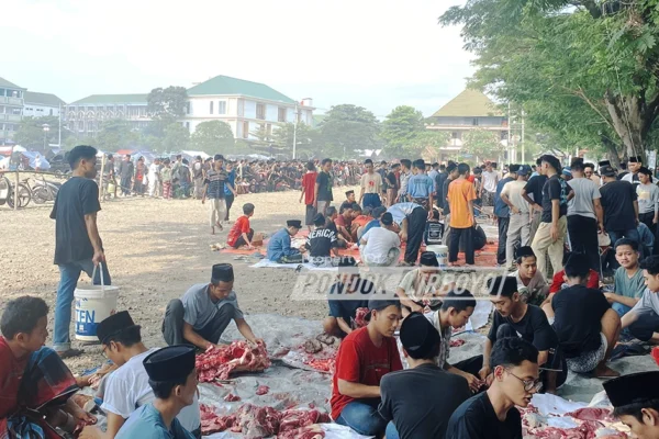 Pelaksanaan Kurban 1447 H di Ponpes Lirboyo